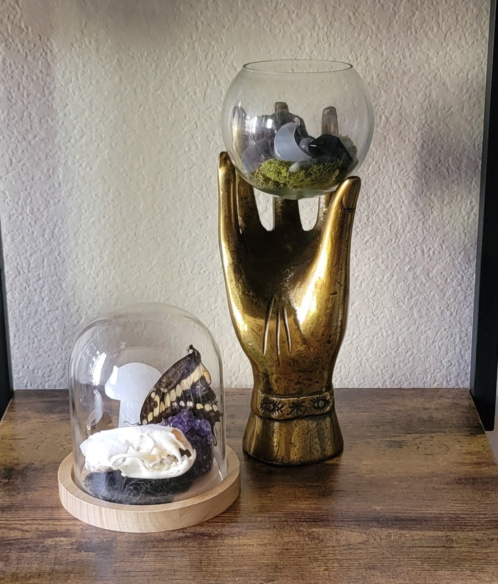Mystic Hand Crystal Terrarium – Witchy Decor with Crystals, Moss & Intention Energy
