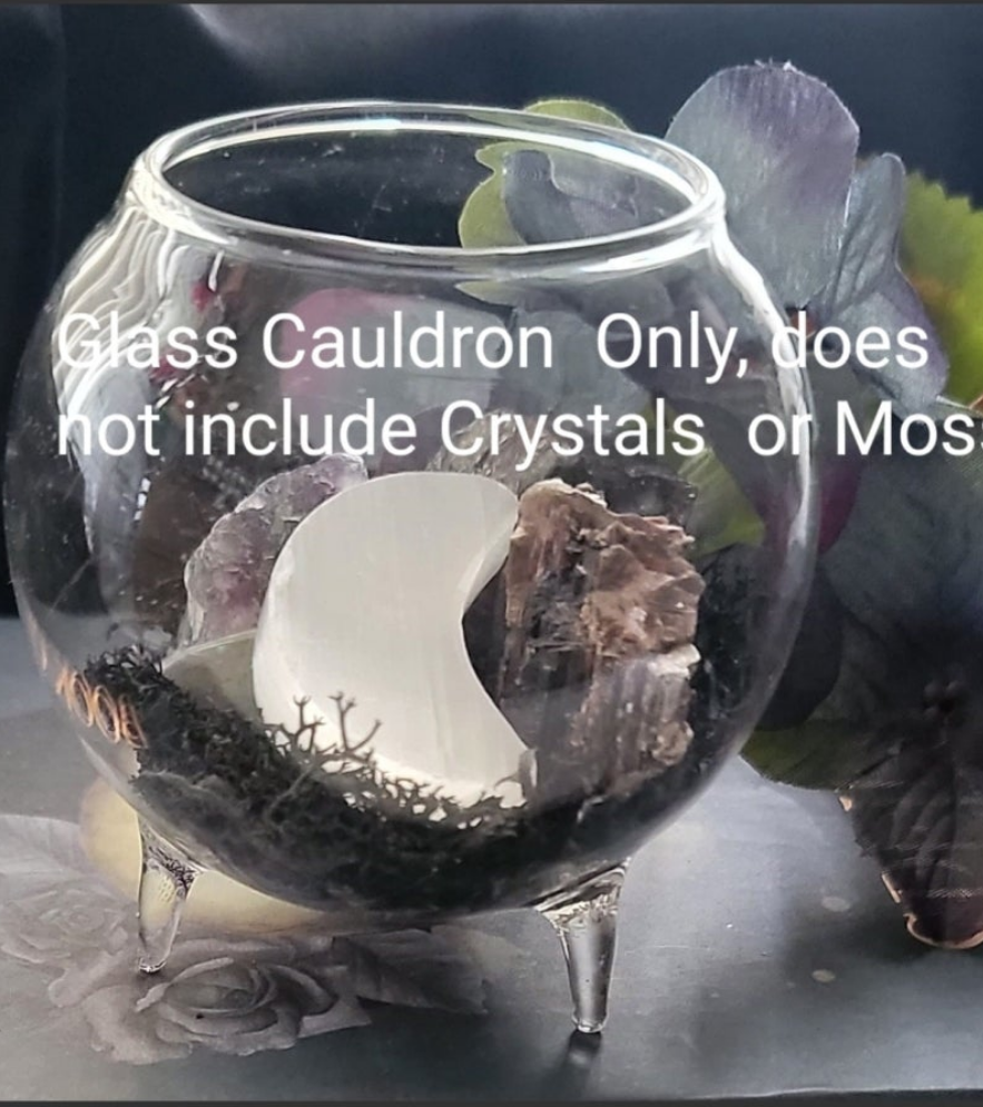 Glass Cauldron Crystal Terrarium – Witchy Spelled Intention Decor with Herbs & Crystals