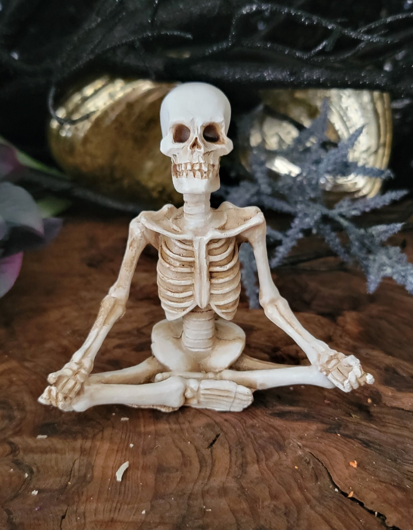 Yoga Skeleton with Chakra Rose petals White Sage, yogi Skeleton,  Chakra white sage,chakra sage, yoga gift