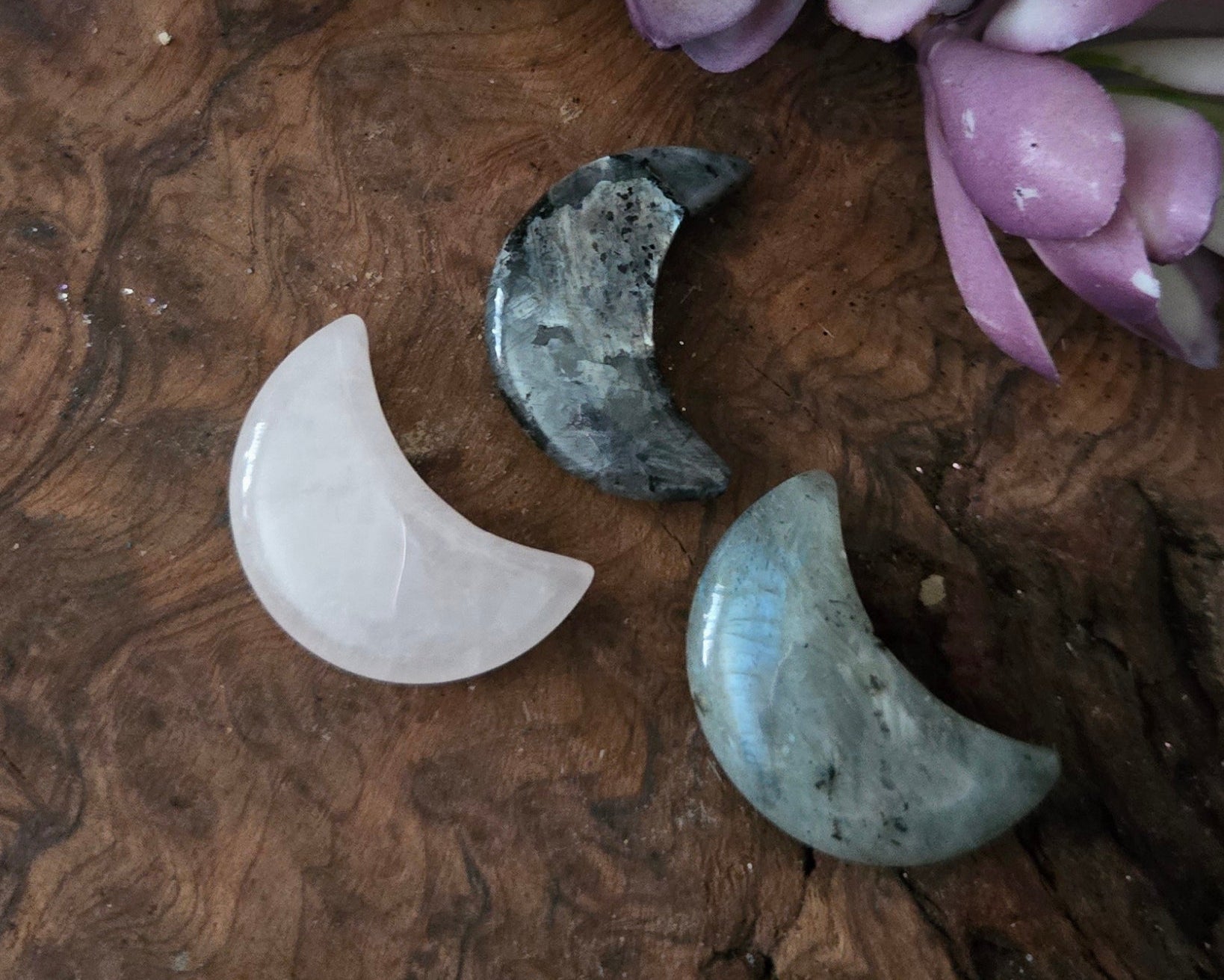 Decorative arrangement with succulents and stone moon phases on a wooden surface