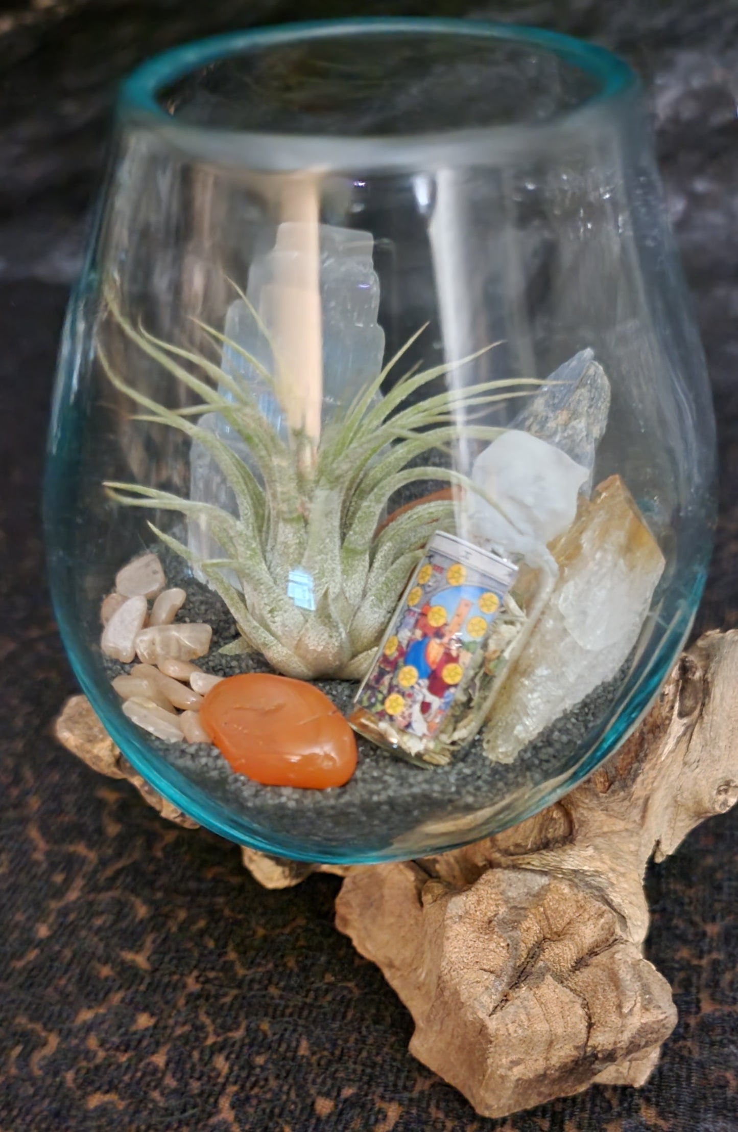 Success / Career Intentioned Molten Glass over Driftwood Terrarium