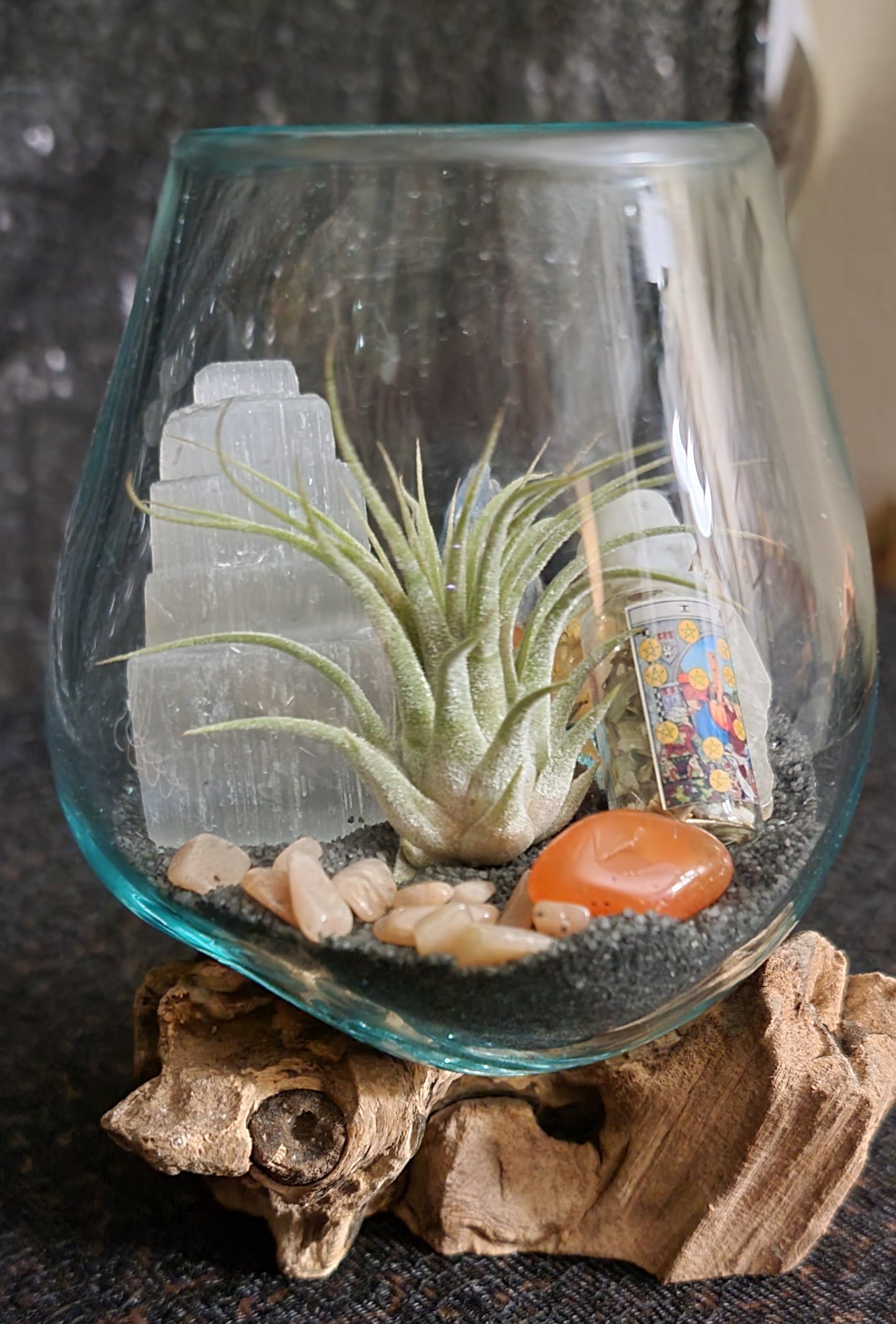 Success / Career Intentioned Molten Glass over Driftwood Terrarium