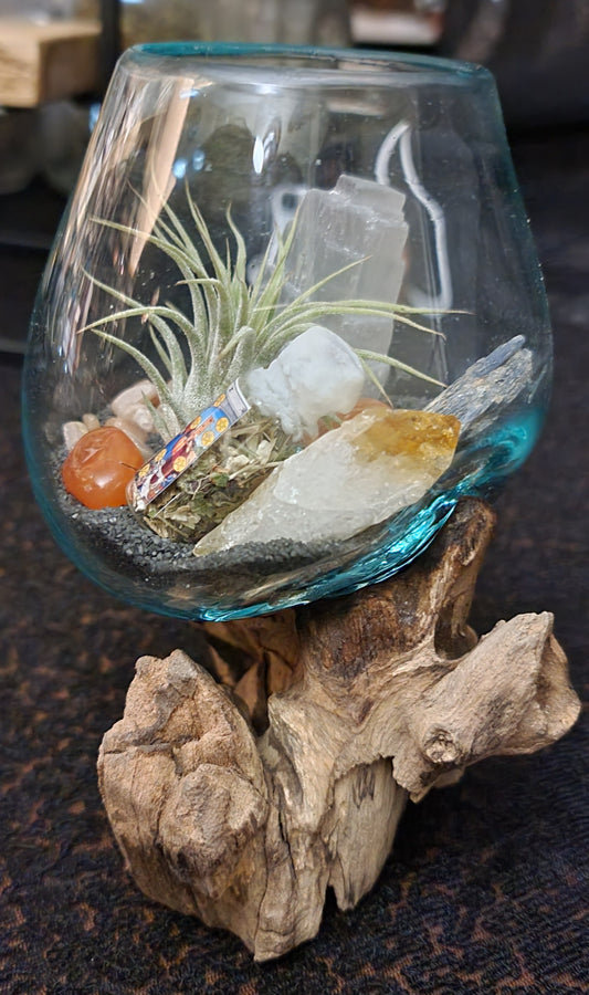 Success / Career Intentioned Molten Glass over Driftwood Terrarium