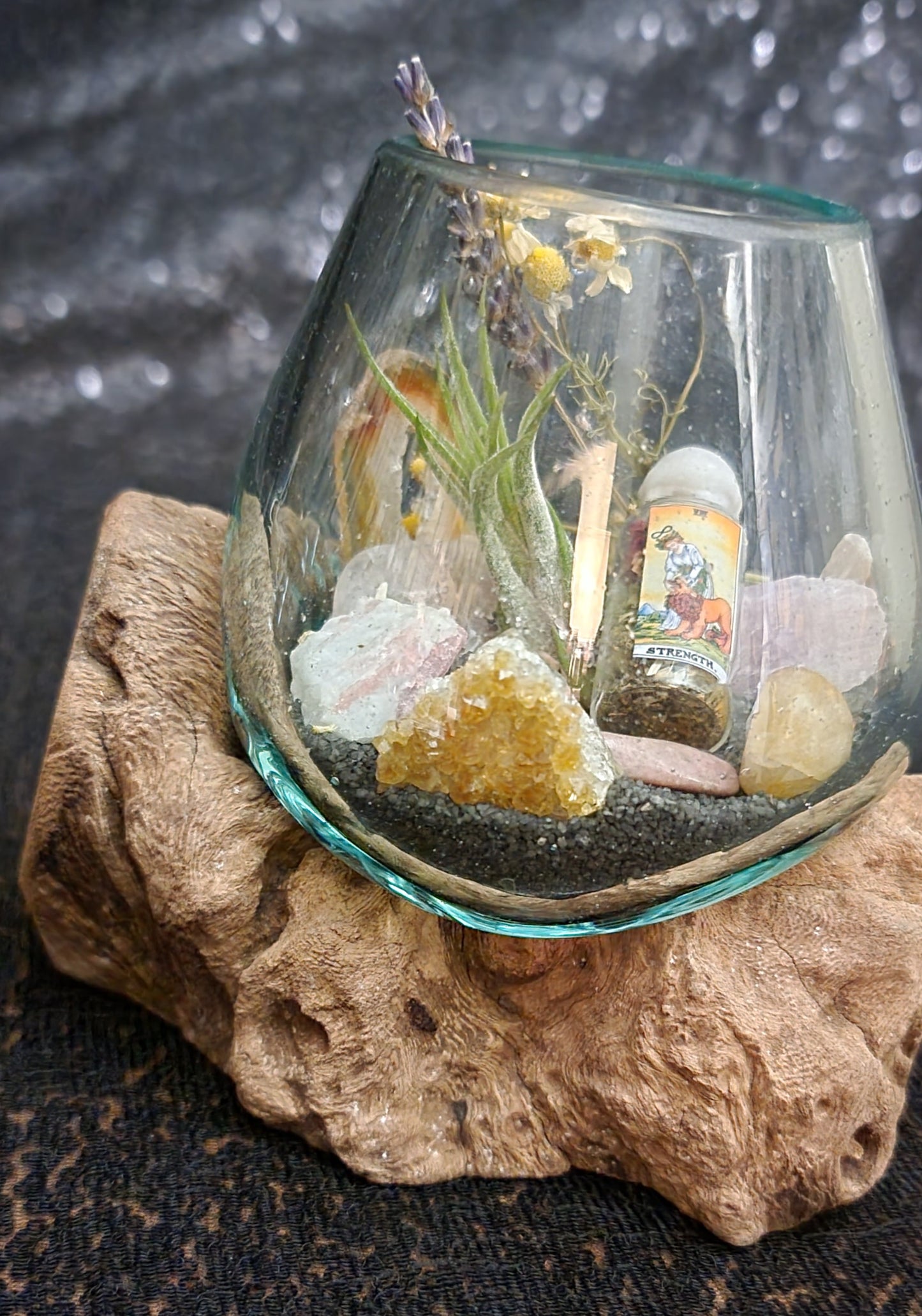 Self-Love Intentioned Molten Glass over Driftwood Terrarium