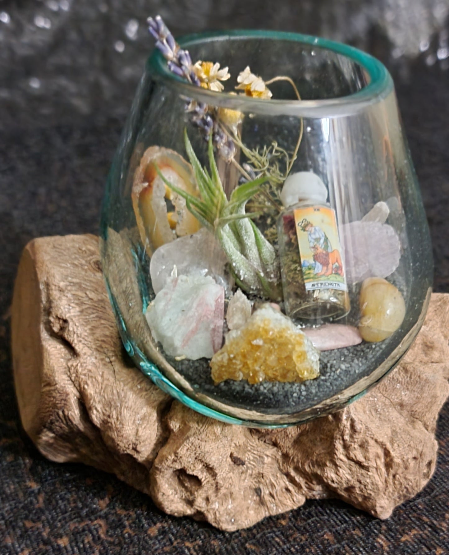 Self-Love Intentioned Molten Glass over Driftwood Terrarium