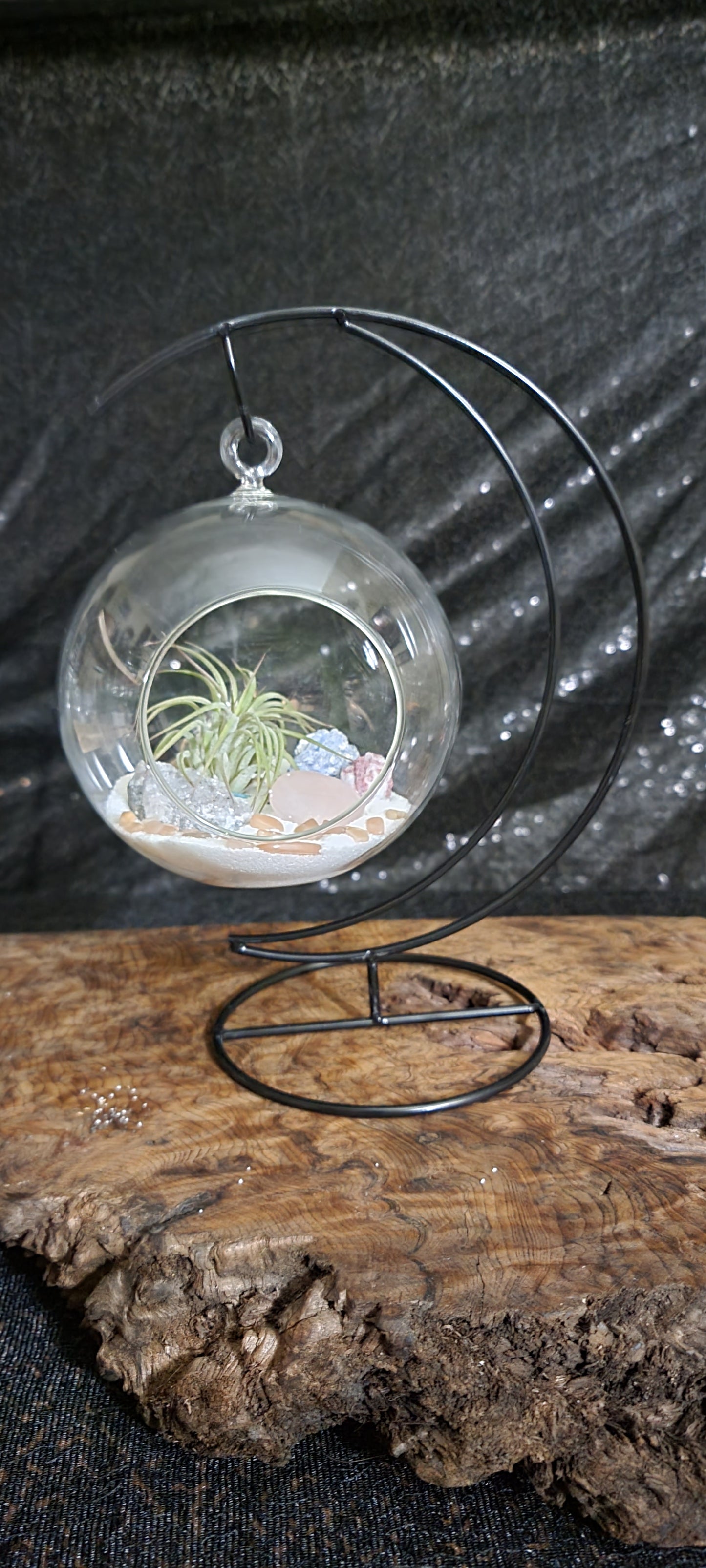 Crescent Moon Shape Black Glass Terrarium Ball Display Stand