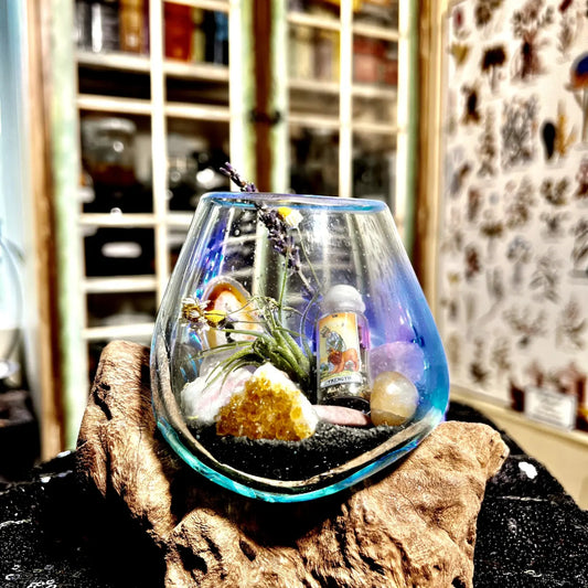 Self-Love Intentioned Molten Glass over Driftwood Terrarium