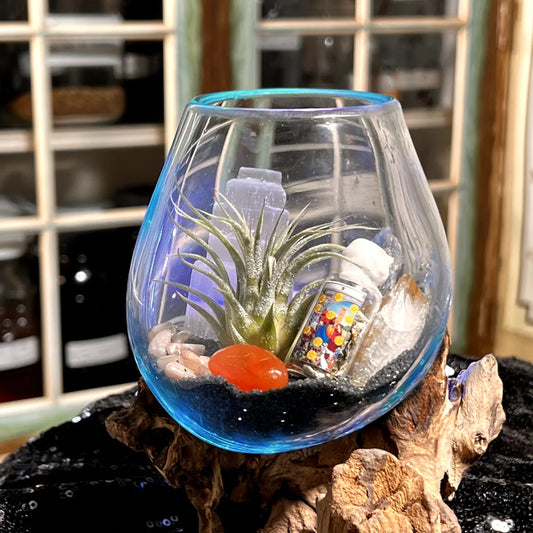 Success / Career Intentioned Molten Glass over Driftwood Terrarium